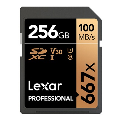 雷克沙256GB 667x SD存储卡
